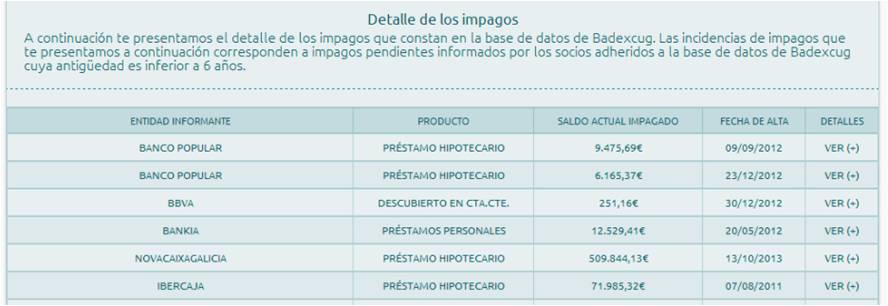 Detalle de impagos - Badexcug