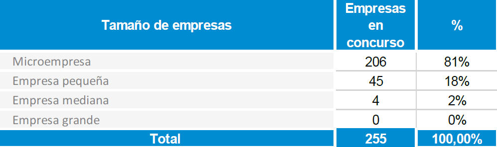 Empresa Actual