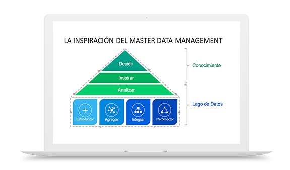 Master Data Management