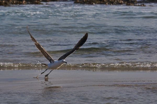 Como reiniciar my pyme